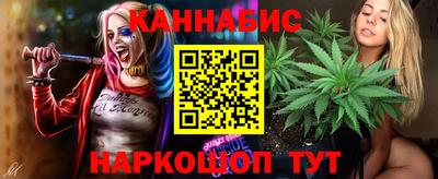 мяу мяу мука Гай