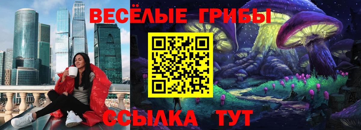 Галлюциногенные грибы мицелий Холмск