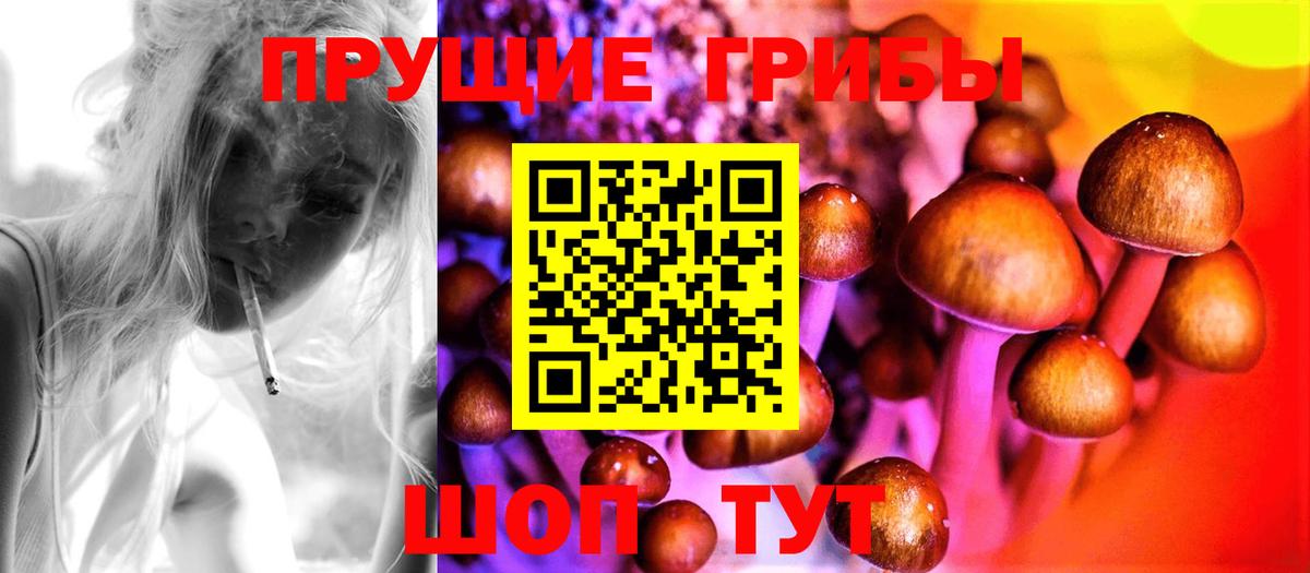 Галлюциногенные грибы мухоморы  Галлюциногенные грибы мицелий  Холмск  Вход с VPN 